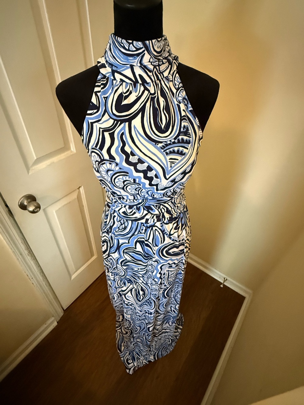 Lily Pulitzer Women’s Wyota Maxi XS - Picture 5 of 12